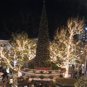 Meet your Posher, Ash